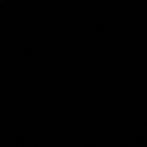 Meet your Posher, Genesis